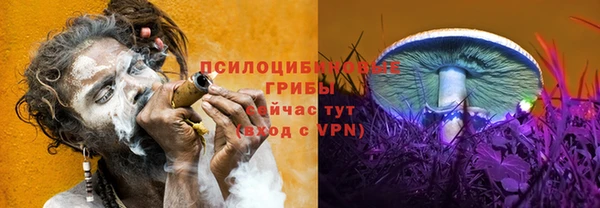 спайс Богданович